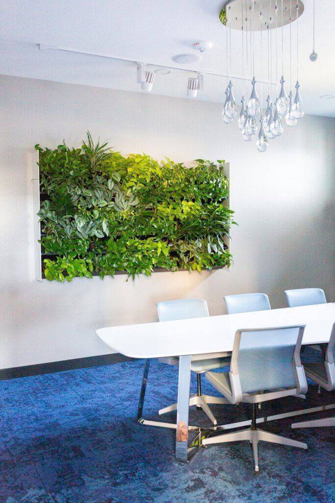 Living wall in an office.