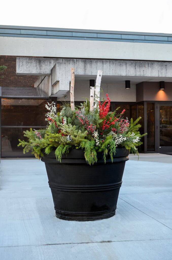 Large black planter with green and red flowers.